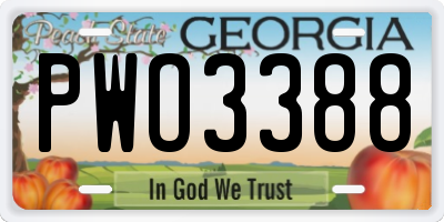 GA license plate PWO3388