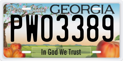 GA license plate PWO3389