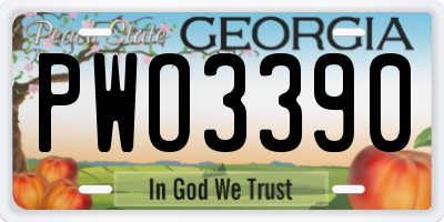 GA license plate PWO3390