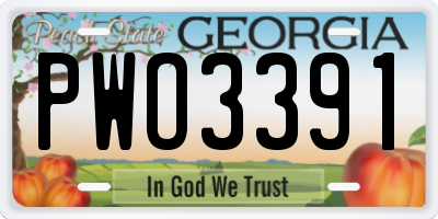 GA license plate PWO3391