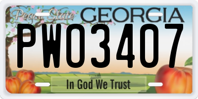 GA license plate PWO3407
