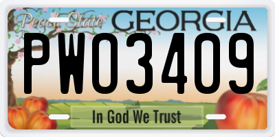 GA license plate PWO3409