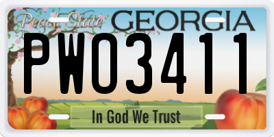 GA license plate PWO3411