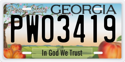 GA license plate PWO3419