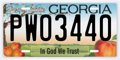GA license plate PWO3440