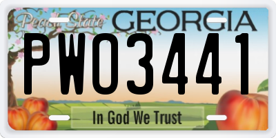 GA license plate PWO3441