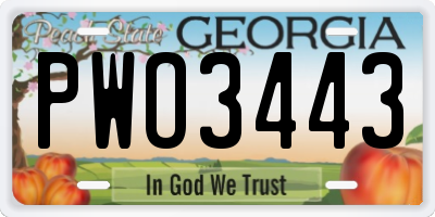 GA license plate PWO3443
