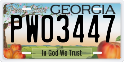 GA license plate PWO3447