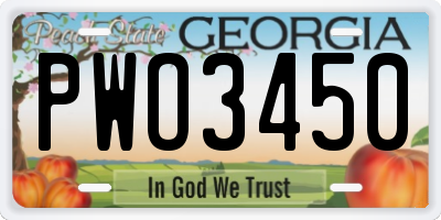 GA license plate PWO3450