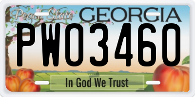 GA license plate PWO3460