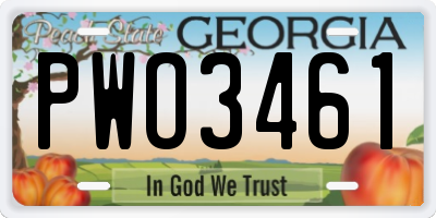 GA license plate PWO3461