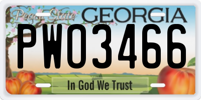GA license plate PWO3466