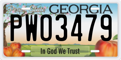 GA license plate PWO3479
