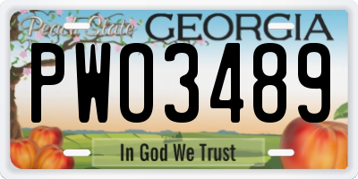 GA license plate PWO3489