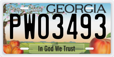 GA license plate PWO3493