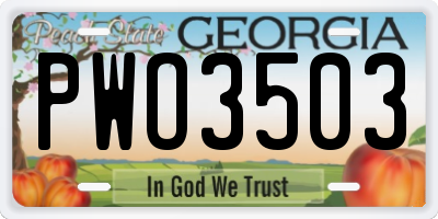 GA license plate PWO3503