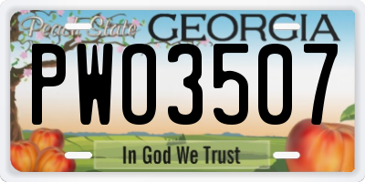 GA license plate PWO3507