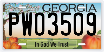 GA license plate PWO3509