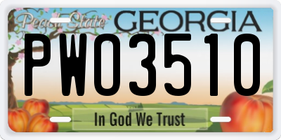 GA license plate PWO3510