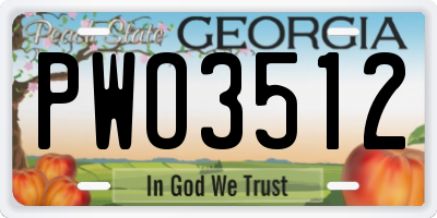 GA license plate PWO3512