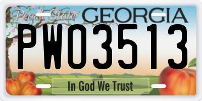 GA license plate PWO3513