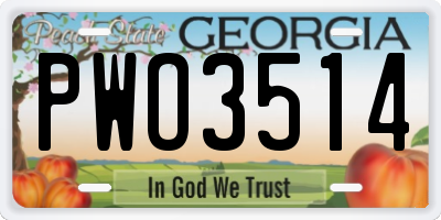 GA license plate PWO3514
