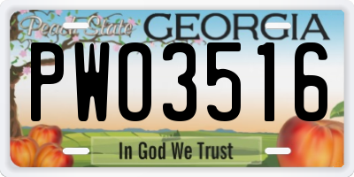 GA license plate PWO3516