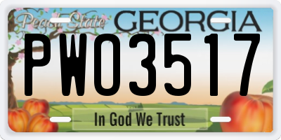GA license plate PWO3517