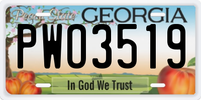 GA license plate PWO3519