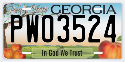 GA license plate PWO3524