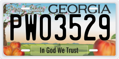 GA license plate PWO3529