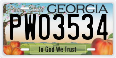 GA license plate PWO3534