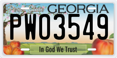 GA license plate PWO3549