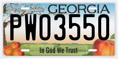 GA license plate PWO3550