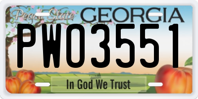 GA license plate PWO3551
