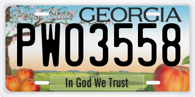 GA license plate PWO3558