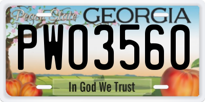 GA license plate PWO3560