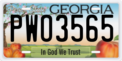 GA license plate PWO3565
