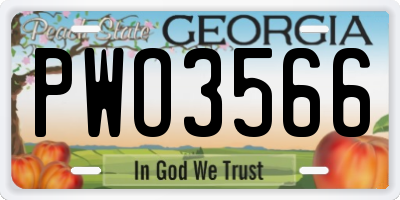 GA license plate PWO3566