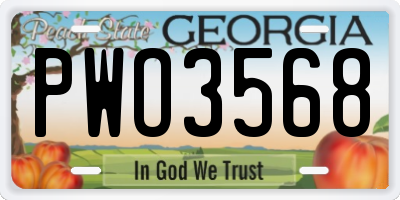 GA license plate PWO3568