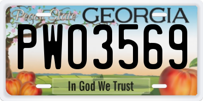 GA license plate PWO3569