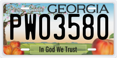 GA license plate PWO3580
