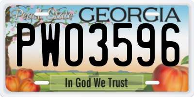 GA license plate PWO3596