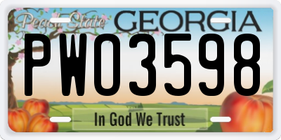 GA license plate PWO3598