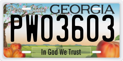 GA license plate PWO3603