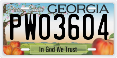 GA license plate PWO3604