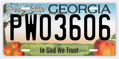 GA license plate PWO3606