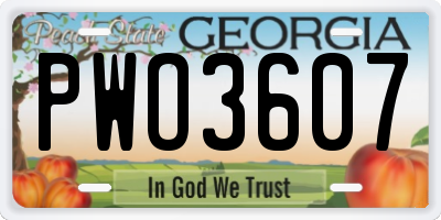 GA license plate PWO3607
