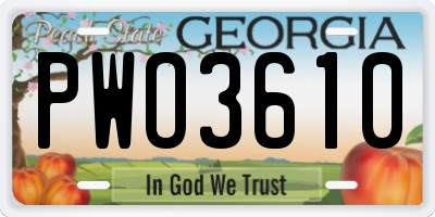 GA license plate PWO3610