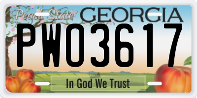 GA license plate PWO3617